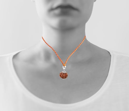 Image of Certified 12 Mukhi Rudraksha /Twleve Faced Rudraksha Pendant Original Rudraksha Locket (Color : Brown)