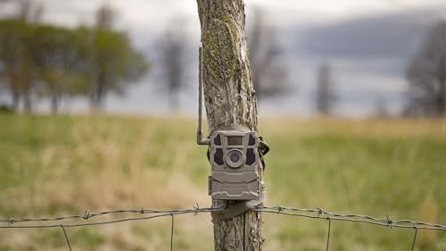 TACTACAM Reveal X 2.0 Cellular Trail Camera Reviews