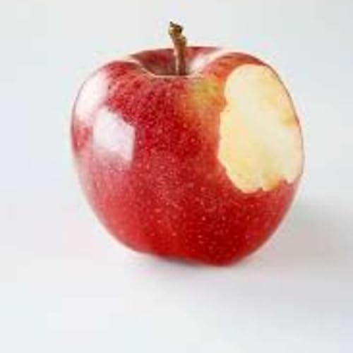 A Day at School p27-30