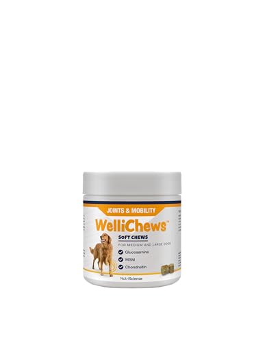 WELLICHEWS   ARTICULACIONES Perro PEQUEÑO (120U) 120G