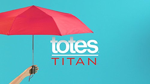Totes 70Mph Windproof Titan Auto Open & Close Umbrella With Neverwet #TOP3
