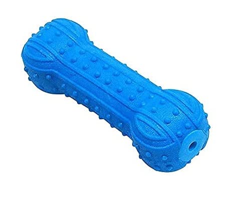 RvPaws Flex Squeak Dog Chew Bone Toy, Rubber Bone Squeak Chew Toy for Chewing for Dogs, Floating & Suitable for Pool Use (Blue) (B09N1QYLWD) Amazon Price History, Amazon Price Tracker
