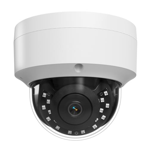 4K Dome AI Camera with Vandal Protection