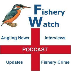 3: Episode 3 - December 2020