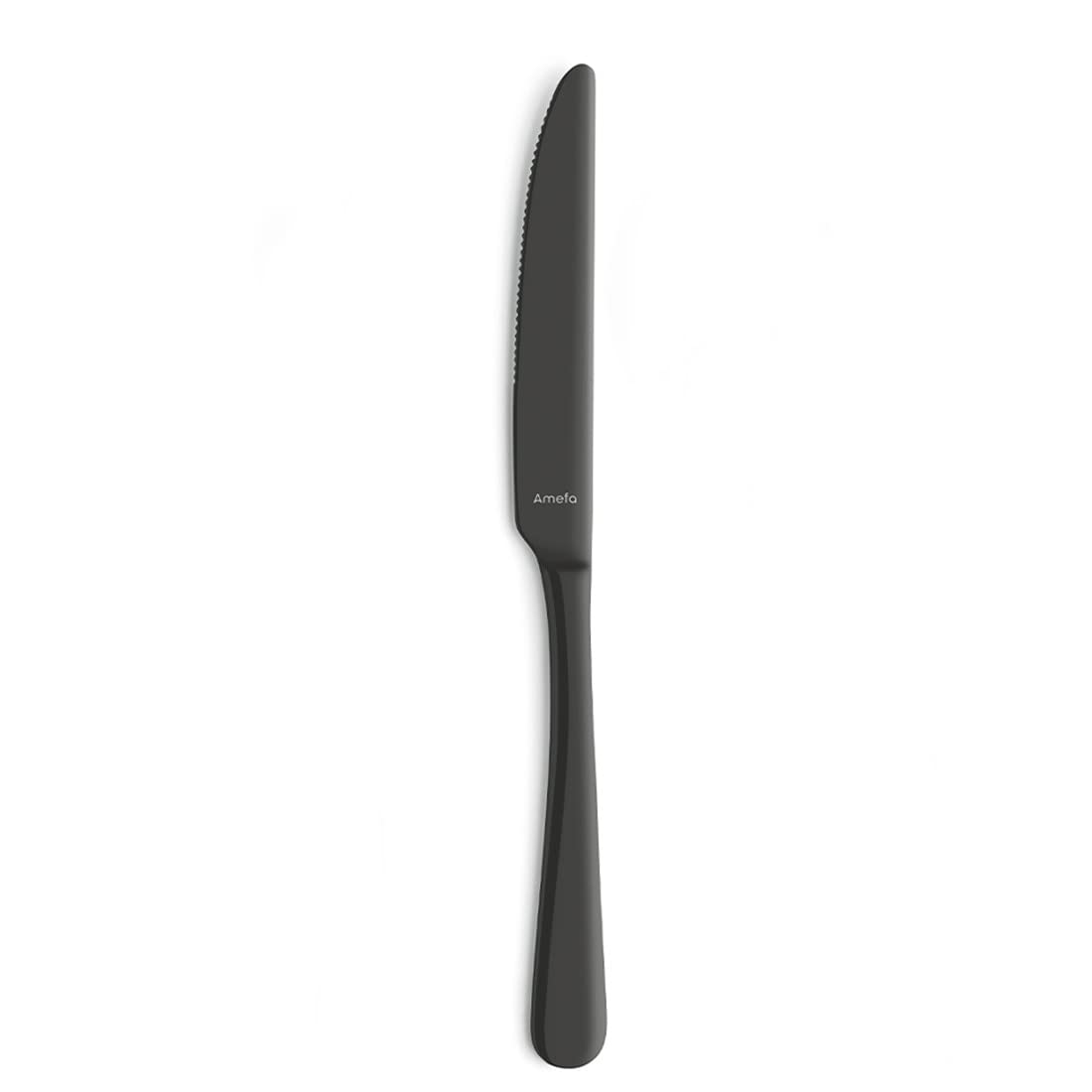 Amefa AUSTIN SCHWARZ | Besteckset 24-teilig | PVD-veredeltes schwarzes Besteck Set | farbigesTafelservice 18/0 Edelstahl rostfrei | Besteck Set 6 Personen | Besteck schwarz spülmaschinenfest