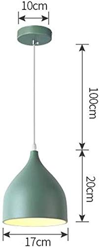 Lámpara colgante nórdica pequeña con acabado de hierro premium para decoración sofisticada 2