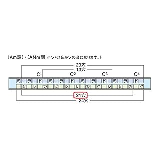 Suzuki 21 trous Tremolo Harmonica Special SU-21SP-N - clé de A – Image 6