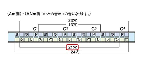 Suzuki 21 trous Tremolo Harmonica Special SU-21SP-N – clé de A - Les Beatles, Paul McCartney, John Lennon, RIngo Starr, George Harrison Suzuki 21 trous Tremolo Harmonica Special SU-21SP-N - clé de A – Image 7