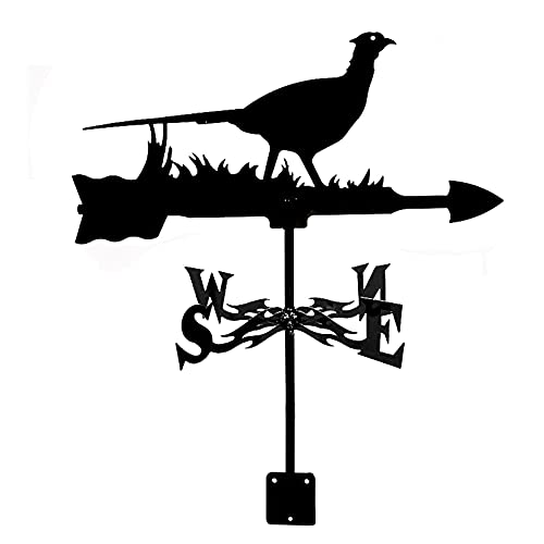 HJCKJSMEOU Wetterfahne aus Edelstahl im Vintage-Stil, Messinstrumente, Windrichtungsanzeiger, Wetterhahn für