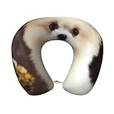 POCUK