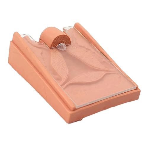OUFEIJIA Intrauterine Device Model Educational Model, Aid Educational Materials for School,Education Teaching Aids