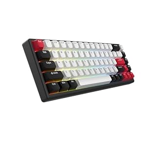 ARBITER Polar 65 – CNC Magnetic Gaming Keyboard w Rapid Trigger, Hall Effect Switches, CNC Aluminum Frame, Rapid Key, 65% Compact, Bright RGB, Dual-Shot PBT Keycaps – Ronin Red – Kuro