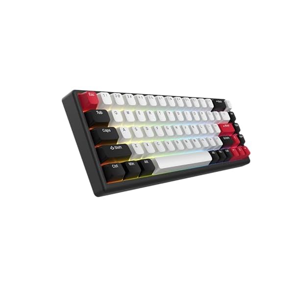 ARBITER Polar 65 – CNC Magnetic Gaming Keyboard w Rapid Trigger, Hall Effect Switches, CNC Aluminum Frame, Rapid Key, 65% Compact, Bright RGB, Dual-Shot PBT Keycaps – Ronin Red – Kuro