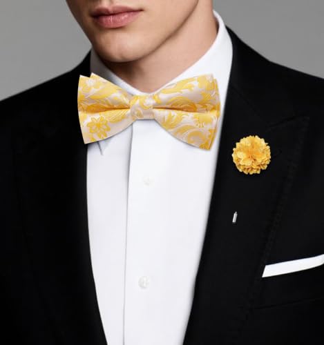Image of Dubulle Mens Paisley Striped Bowtie Set Pre-tied Bowtie for Men and Pocket Square Set Wedding Business