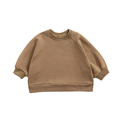 Toddler Boy Girl Fall Clothes Solid Long Sleeve Crew Neck Pullover Top Unisex Kid Simple Style Sweatershirt Outfit