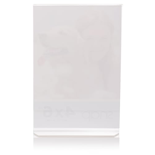 Set of 12 Snap - 4