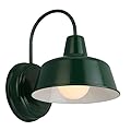 Mason Barn Light Indoor/Outdoor Wall Mount Modern Industrial Farmhouse Design House Wall Light for Patio, Garage, Bathroom, Office, Kitchen, 8-Inch, Forest Green, 579342