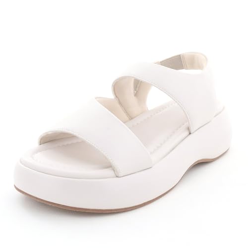 [Ȃ] pfbgT_ iby_8740215j/byȂ/oCAViKIWT