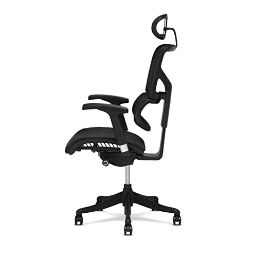 X-Chair X1 High End Task Chair, Black Flex Mesh With Headrest - Ergonomic Office Seat/Dynamic Variable Lumbar Support/Highly Adjustable/Relaxed Recline/Perfect For Office Or Home Desk #TOP6