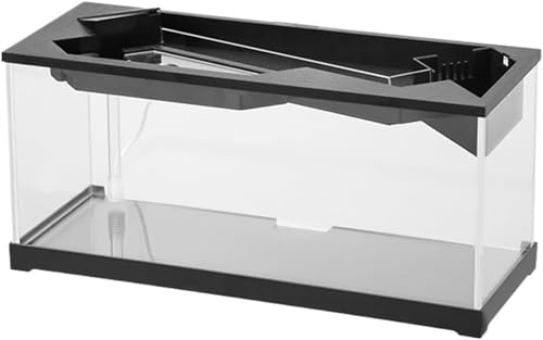 DancJulie Ȑ - |vt~jفANAANtBbV{E|fXNgbvp̐ÂȃtB^[VXeƃX^[^[ZbgAp̐ꂽ^NA[NXy[XfBXvC\[VpX^WIA ( + EH[^[