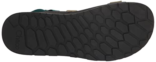 Chaco Men's Lowdown Sandal4