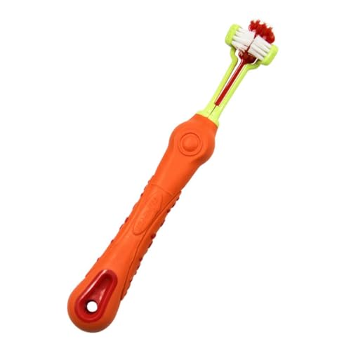 Fiozwea 3�w�b�h�y�b�g���u���V�F�_�炩���сA�R�ہE�h�����H�A���p�x���o���A���^�������^���ɓK���Ă��܂��B�y�b�g�p�i�B (170*23MM,E)
