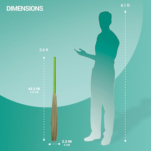 Image of Spotzero By Milton Airavat Premium Grass Broom I Blend Shillong & Silchar Grass I Extra Long Ergonomic Handle Design, Set of 1