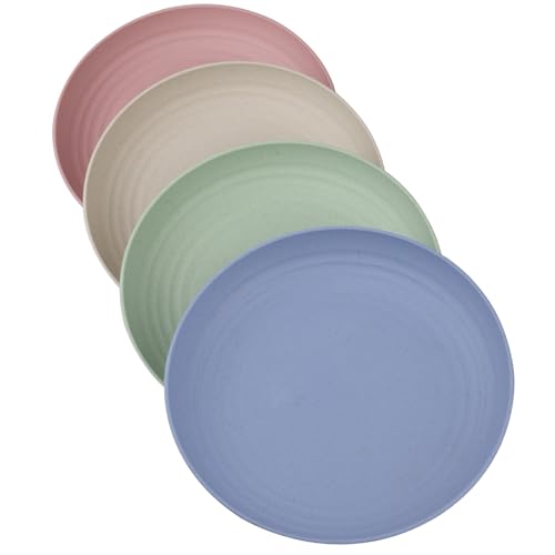 tallkeey Lot de 4 assiettes à dîner incassables, assiettes en plastique réutilisables, 22,9 cm, assiettes de camping légères, passent au lave-vaisselle