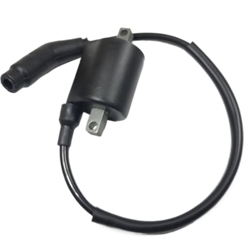 Bobine d'allumage 260 300 pour réparer les ratés moteur de votre quad L