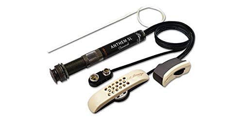 Amazon | L.R.Baggs (エルアールバックス) クラシックギター用  