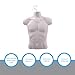 SSWBasics Male Molded White Shirt Form - Fits Men's Sizes S-L - Hanging Mannequin - Male