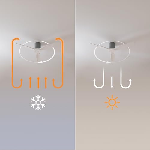 Cecotec Ventilateur de Plafond avec Télécommande de 52" EnergySilence Aero 5400 Classic Iron&White. Moteur DC 40W, 3 Pales, 6 Vitesses, Minuterie jusqu'à 8h, Mode Hiver/Été