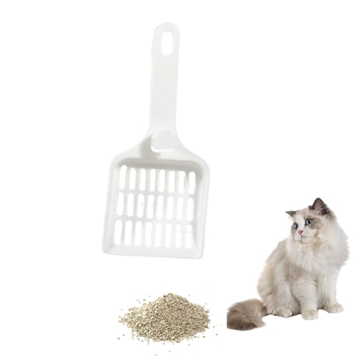 tbNLXRbv ABSi22.5×9.6×2.3cmjb6mmڕ ӂ邢 LVx݂艺[Ή ~߃Obvۊp݌v ֗ ȃXy[X  􂢂₷ ybggCpi LpVx L gC XRbv