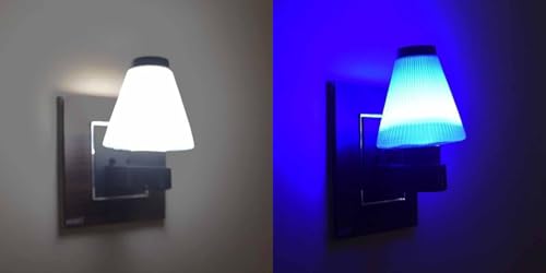 Image of GURUSOAMI Small lamp Type 2 Pin Night Lamp 0.5 Watt Plug & Play Bulb for Bedroom, Living Room, Zero Watt Light Direct Socket use for Night (White /Blue, 2, Count)