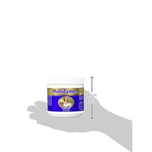 Davis multizymes nutritional supplement 14 oz   cucciolini doodles