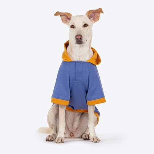 Image of HUFT Wag More Worry Less Colour Block Hoodie - Blue (2XL) | Cozy Winter Clothes & Hoodie for Extra-Large Dogs | Stylish & Comfortable Pet Sweatshirt for Labradors, Golden Retrievers & Large Breeds