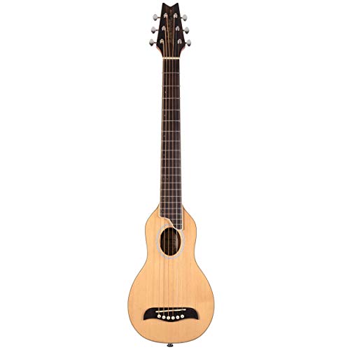 Washburn RO10 Rover