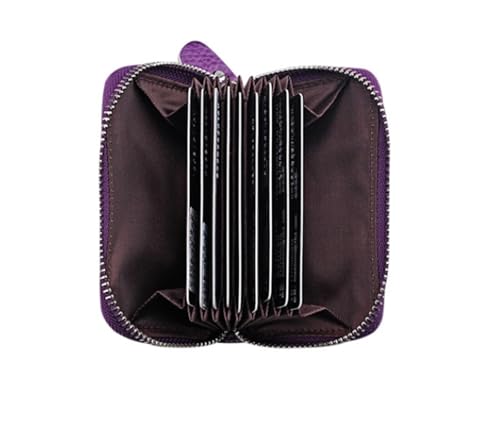 Fashion Accordion Card Holder Card Holder Card Holder Multi-Color Optional Anti-Theft Simple Wallet(Silve)4