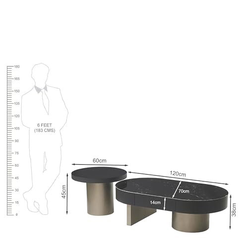 Image of The Attic Noir Luxe Coffee Table Set of 2 | Black Marble Finish | Modern Center & Side Table Combo for Living Room | Metal Base | Stylish Designer Furniture