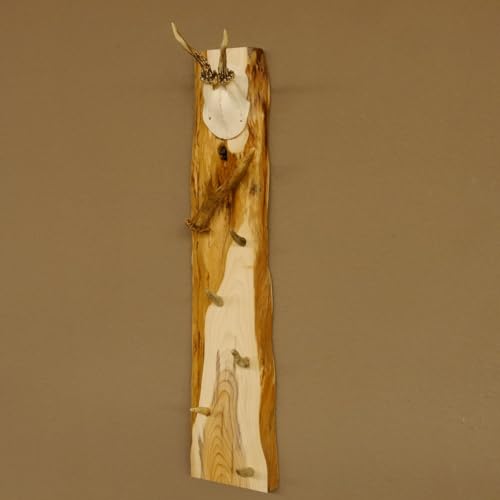 GTK - Geweihe & Trophäen KRUMHOLZ Schlüsselbrett Geweih Rehstange handgefertigt Schlüssel Unikat 5 Spitzen Haken Rehgeweih 27.8.118