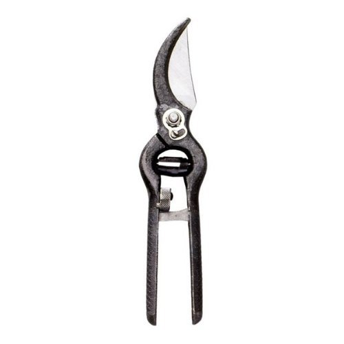 Ausonia - 31200 Schere professionelle Weinberg schwarz geschmiedet 23 cm