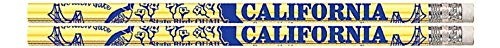 Express Pencils D1503 California - Paquete 36 lápices miniatura 2