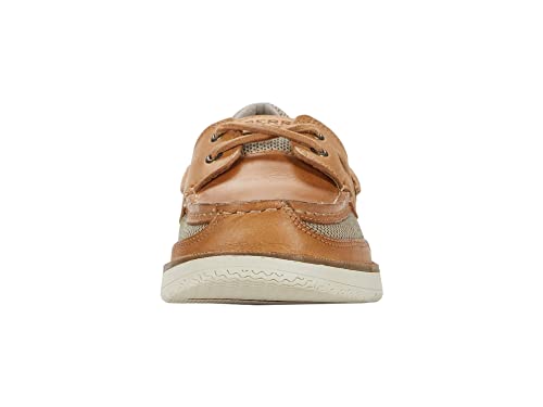 Image of Sperry Men's Surveyor2eye