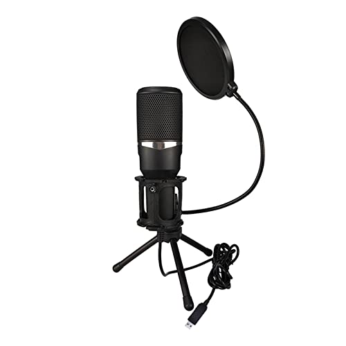 Microphone studio à la maison pour session d'enregistrement - 8