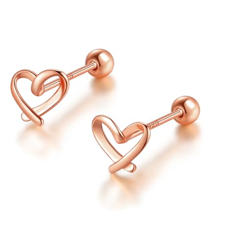 sAX AM[Ή Vo[ Silver925 n[g S[h Vo[ sNS[h 18KR[eBO ˂lW^Cv ЂÂ炢 (sNS[hilWj)