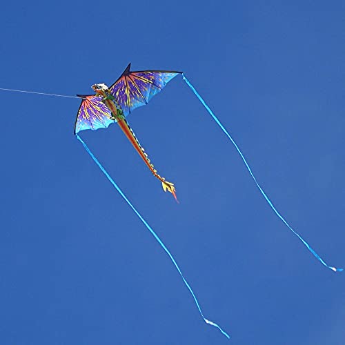 Windnsun Super Size 3D Nylon Kite, Blue Dragon, 76 Inches Wide #TOP4