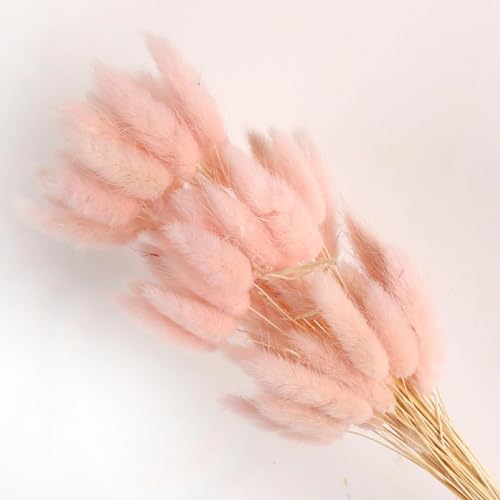 Pampas Grass Decor Tall 60Pcs 17.72 Inch Fluffy Bunny Rabbit miniatura 1