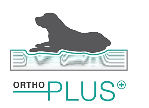 Lebon - Hundebett Paula Plus Orthopädisch - XXL 145x100cm - Pflegeleicht und waschbar - Ideal für große Hunde oder 2 Hunde - Outdoor geeignet - Hochwertig und Made in EU