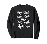 Regalo de historia de la Segunda Guerra Mundial para hombres, mujeres, niños, niñas, adolescentes, tiene aviones de avión de guerra Mundial clásico de Estados Unidos en estilo retro vintage envejecido, regalo novedoso para adultos y niños que aman la Segunda Guerra Mundial, réplica de modelo, avión, constructor, afición