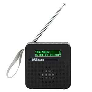 Digitale Radio, Draagbare Bluetooth FM-radio met DAB/DAB+ Draadloze Radio Walkman met Oplaadbare Batterij Om Te Wandelen Outdoor Reizen Sport Kamperen